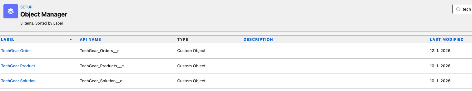 Complete Salesforce Implementation for TechGears Ltd. screenshot 2